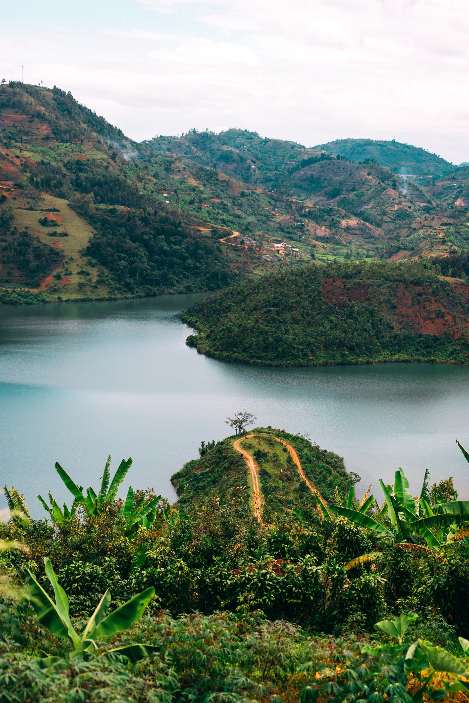Ruanda - Kilimbi (Lavado) - Image 11