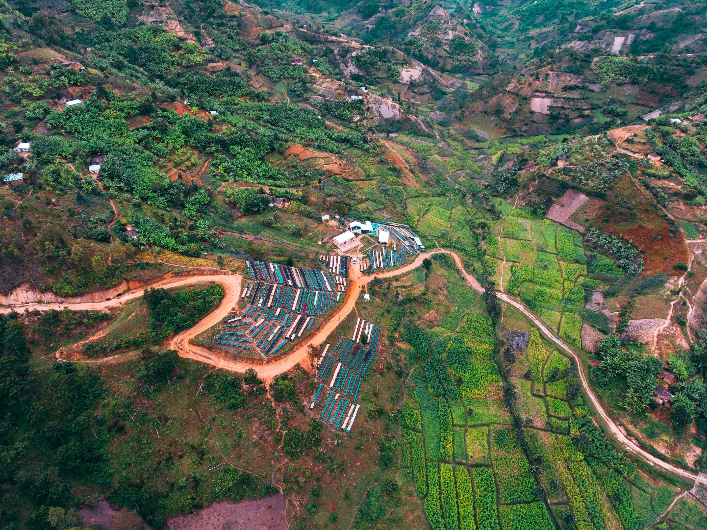 Ruanda - Kilimbi (Lavado) - Image 14