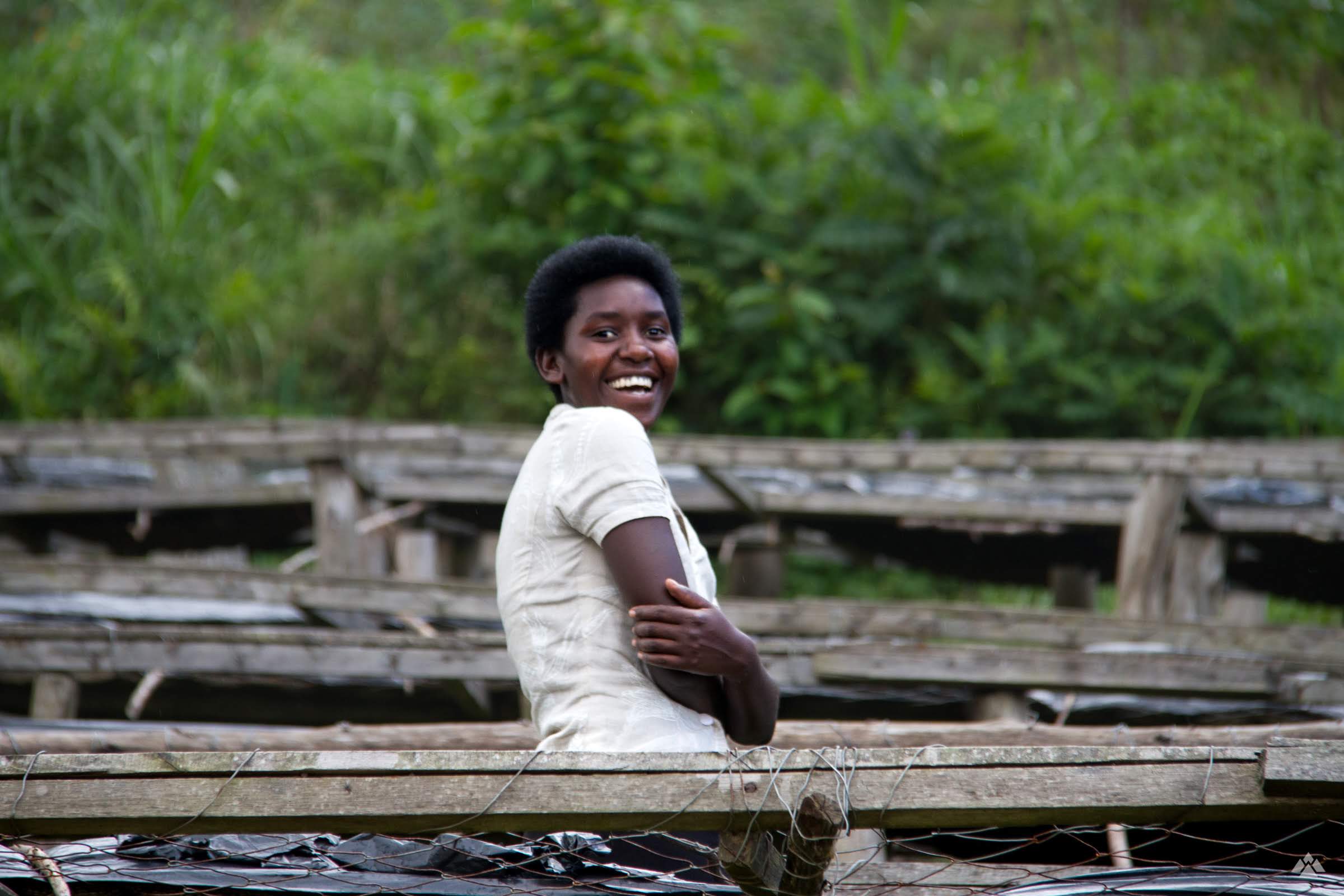 Ruanda - Kilimbi (Lavado) - Image 3