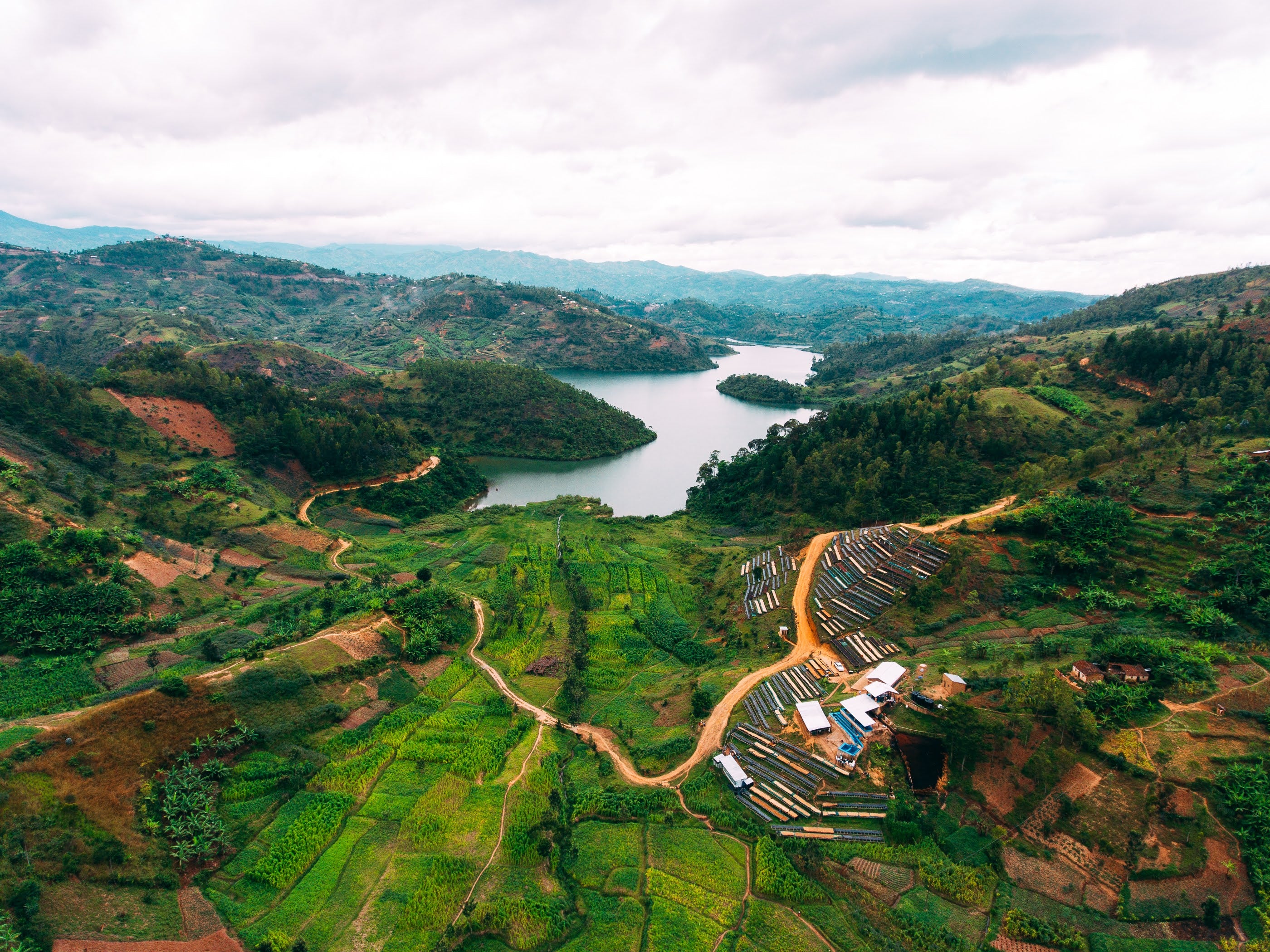 Ruanda - Kilimbi (Lavado) - Image 5
