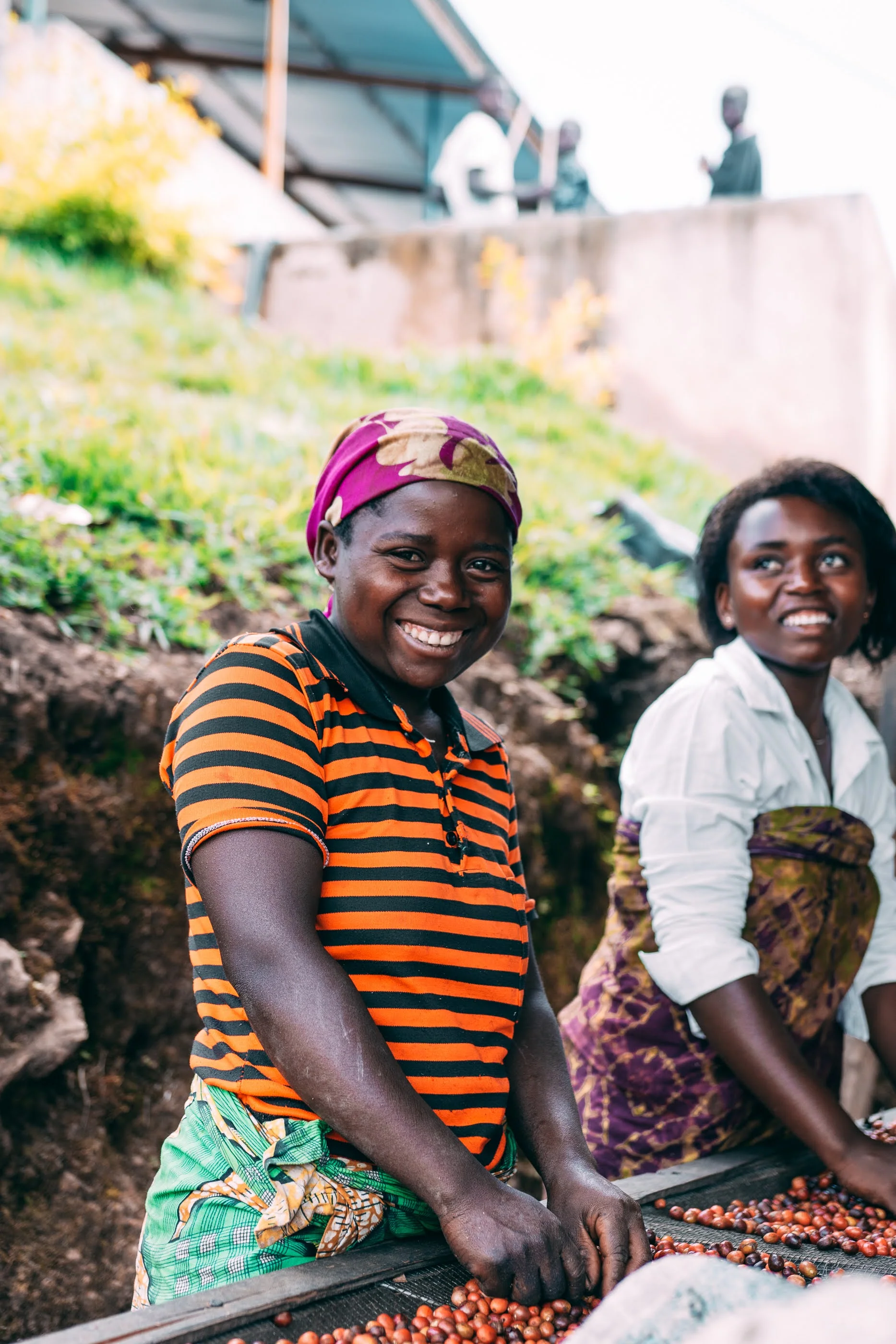 Ruanda - Kilimbi (Lavado) - Image 9