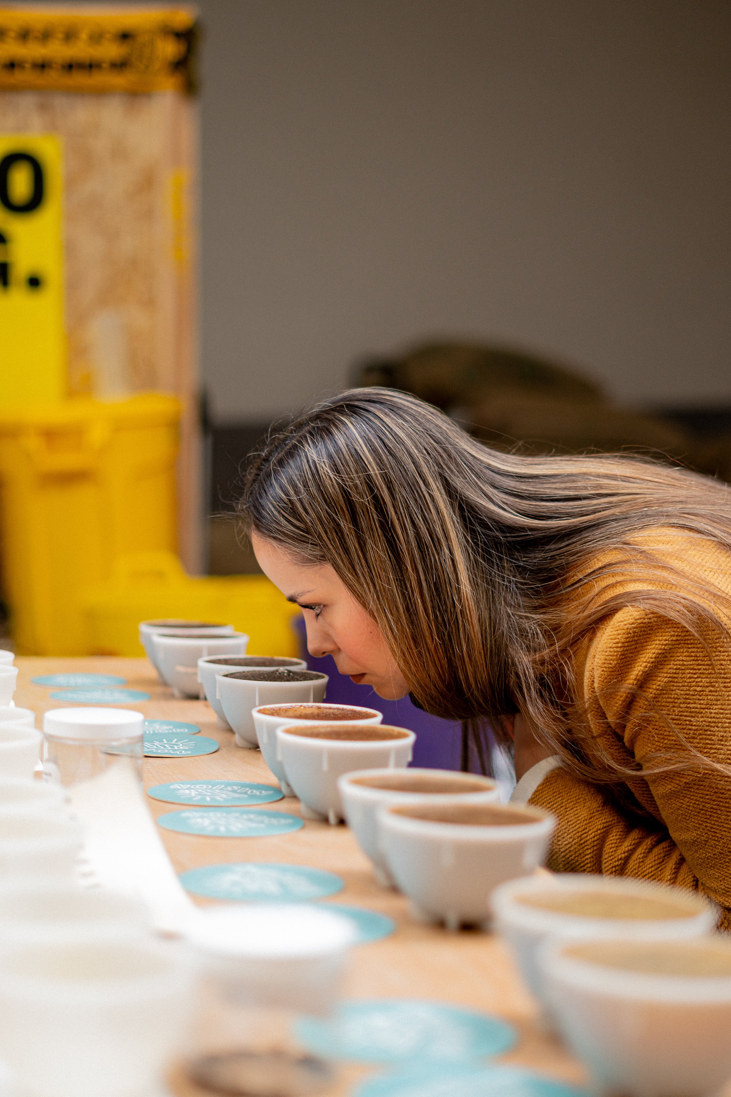 Curso de Cata de Café - Image 3